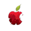 YNW Panel Icon